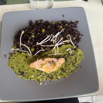 piatto